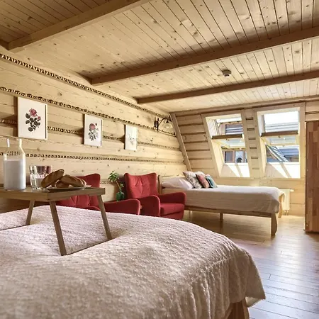 홈스테이 Hiacynta