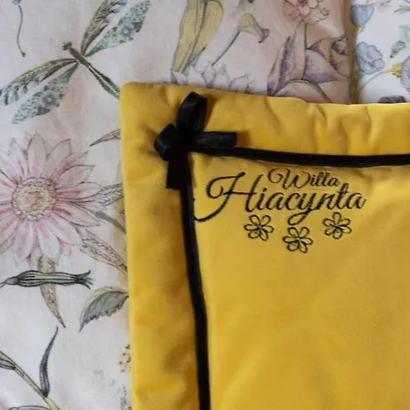 Hiacynta Zakopane
